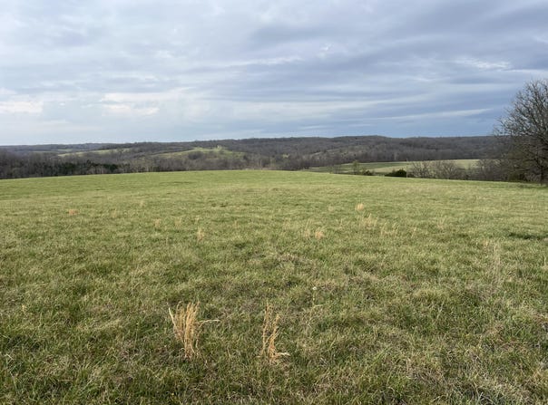 Curtner Road, Norwood, MO 65717