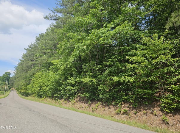 Old Hurricane Road, Wise, VA 24293