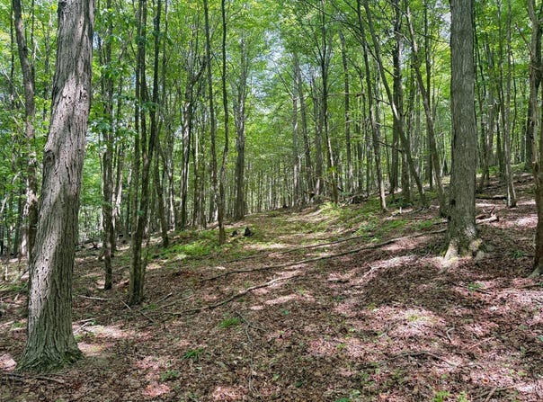 Cole Hill Rd., Russell, PA 16345