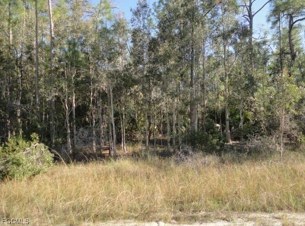 Lehigh Acres, FL 33972