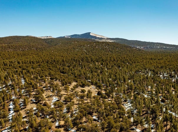 Forest Service Rd 450, Grants, NM 87020