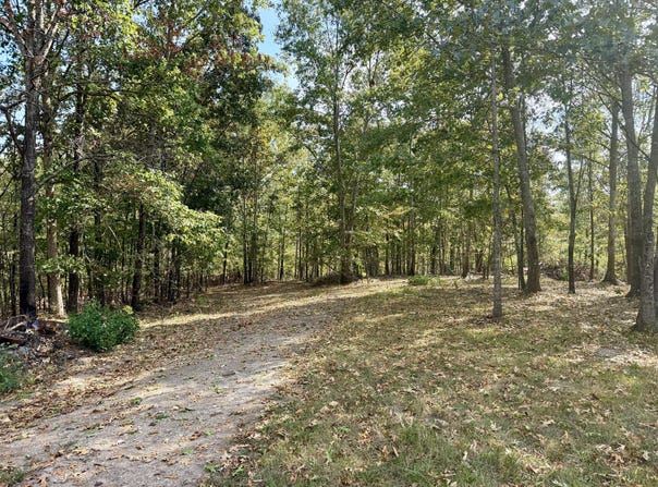 County Road 306, Van Buren, MO 63965
