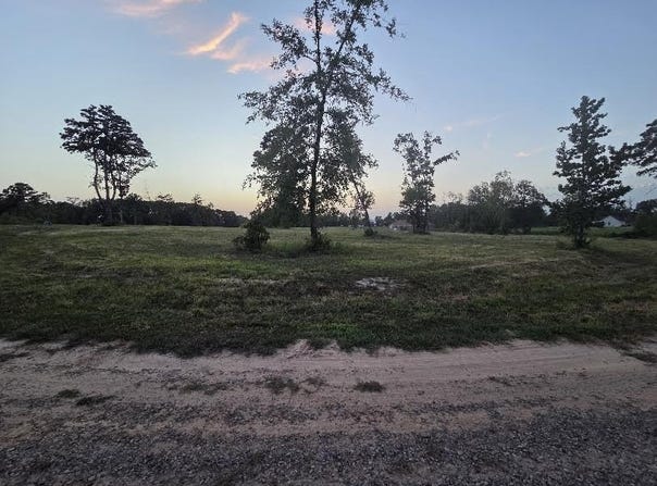 265 Jolea Beth Loop lot: 10R, Dover, AR 72837