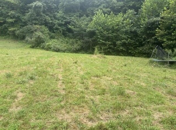 52 Johnson Loop, Pikeville, KY 41501