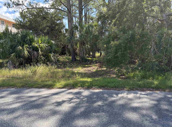 33 Blue Heron Way, Panacea, FL 32346
