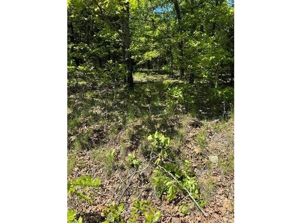 27 S 4532 Road, Vian, OK 74962