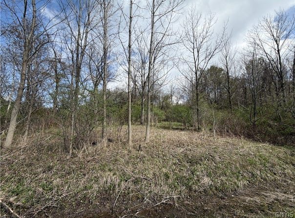 Rt-167, Jordanville, NY 13361