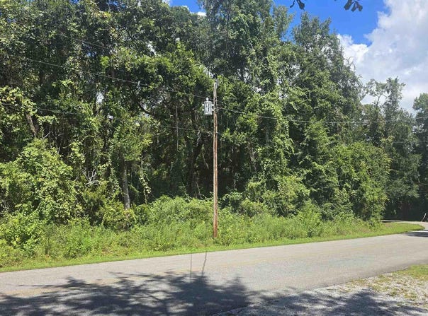 E Bayou Forest Dr, Freeport, FL 32439