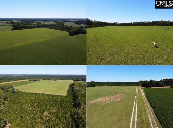 Tema Road, Hartsville, SC 29550