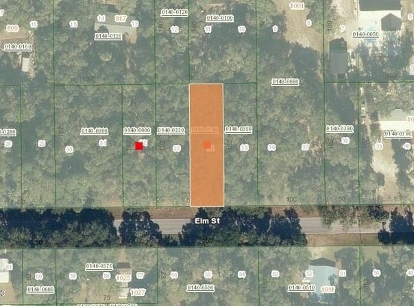 1020 ELM Street, Welaka, FL 32193