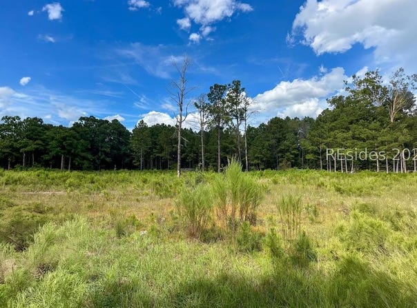 200 Edgewood Drive, Saint Matthews, SC 29135