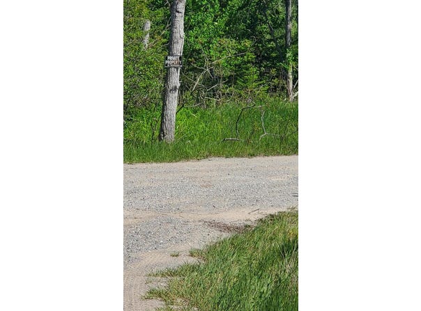 40 AC Werth Road, Alpena, MI 49707