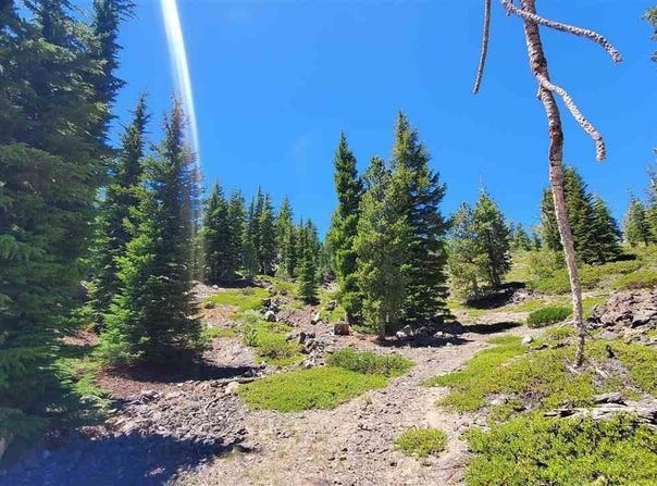 Haight Mountain, Macdoel, CA 96058