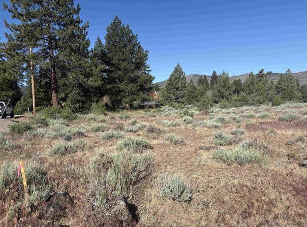 364 Wrangler Drive, Loyalton, CA 96118-5728