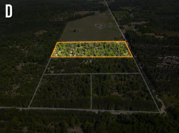 Parcel D Niemi Road, Kaleva, MI 49645