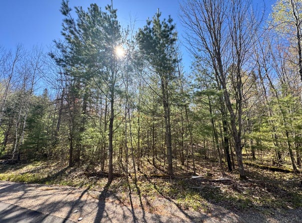 DEER TR lot: 2A, Eagle River, WI 54521