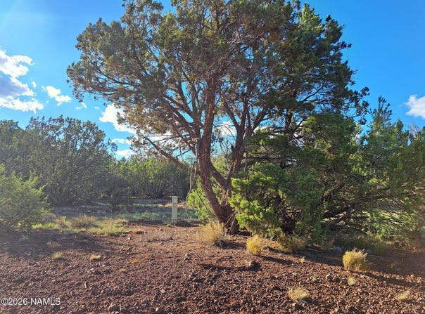 1473 E Barbara Road, Williams, AZ 86046