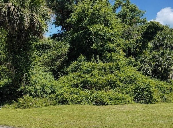116 EDWARD Drive, PALM COAST, FL 32164