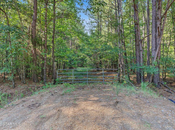Old Highway 12, Starkville, MS 39759