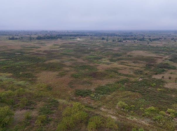 3900 N Wheat State Rd, Burrton, KS 67522