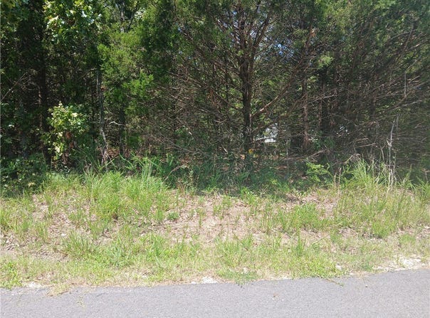 Ben Nevis, Briarcliff, AR 72653