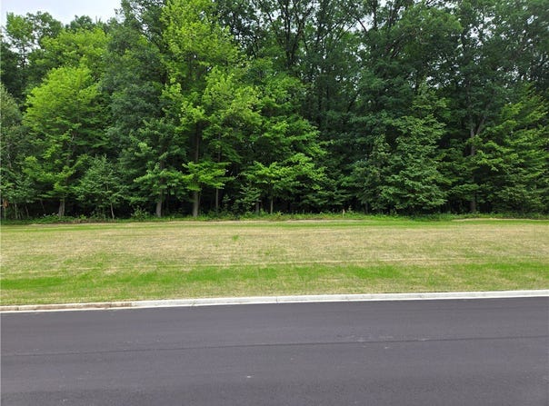 1453 Sykora Lane, Boyceville, WI 54725