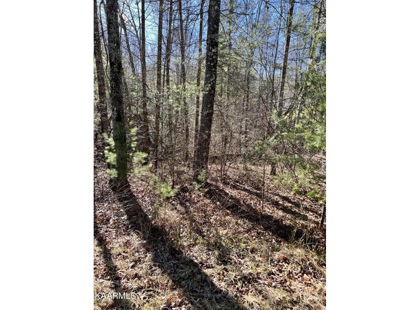 136 Natchez Circle, Crossville, TN 38558