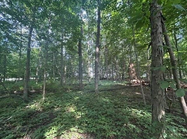 5387 Dildine Road, Delaware, OH 43015