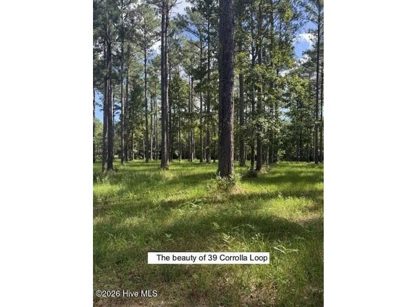 39 Corrolla Loop Road lot: 69/69A, Oriental, NC 28571