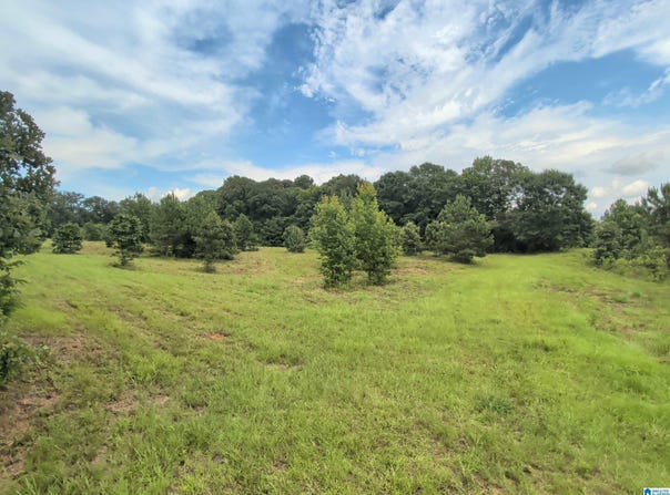 BARCLAY ROAD lot: 0, ALPINE, AL 35014