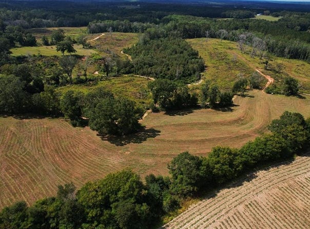 2085 County Road 3341, BRUNDIDGE, AL 36010