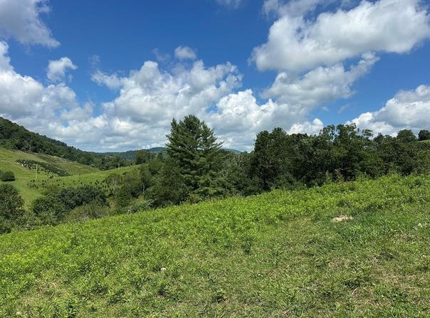 Fox Creek Rd lot: 0, Mouth of Wilson, VA 24363