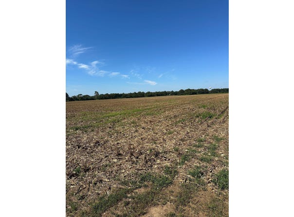 Tbd Highway 82 E, Greenwood, MS 38930