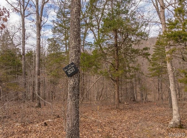 2537 Alpine Woods Drive, Innsbrook, MO 63390