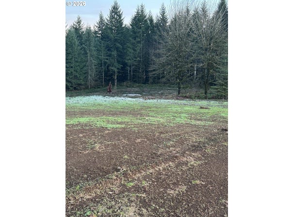 245 Suncrest Dr, CastleRock, WA 98611