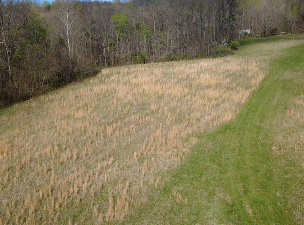 Coal Mine Road, Bloomfield, IN 47424
