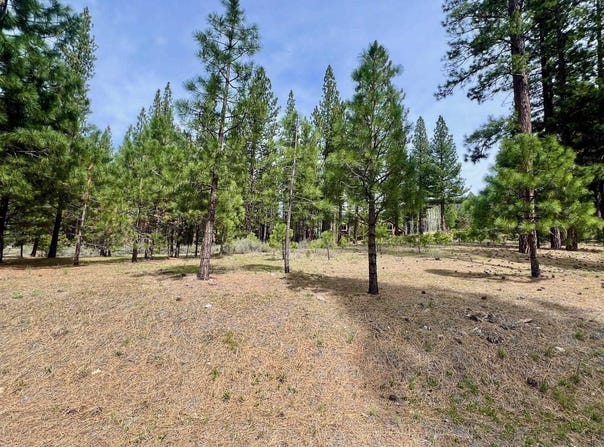 153 Saddle Ridge Road lot: 5, Clio, CA 96106