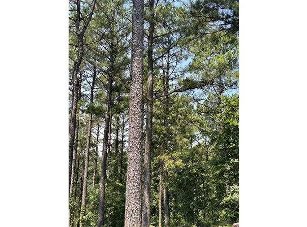 202 Crooked Cedar Trail, Broken Bow, OK 74728
