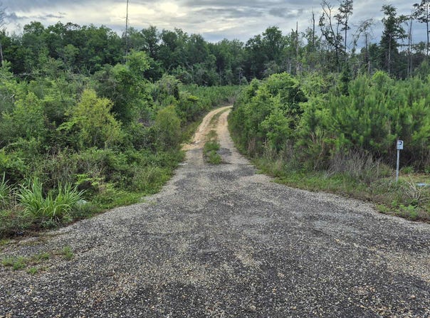 County Road 35, Evergreen, AL 36401