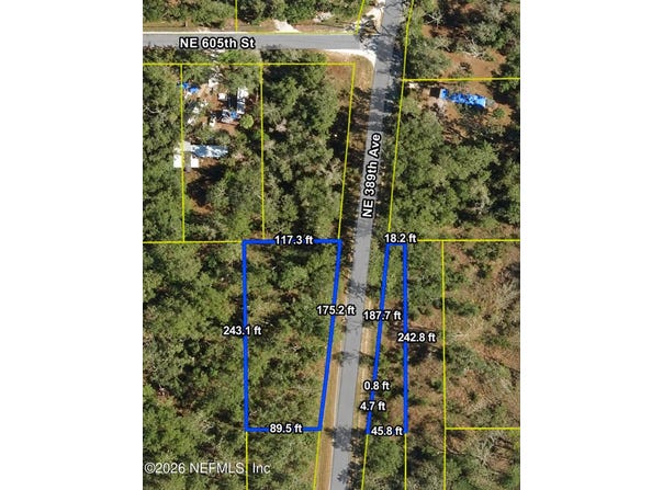 855 NE 389TH Avenue, Old Town, FL 32680
