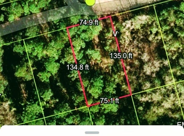 109 Roebuck Road, Georgetown, FL 32139