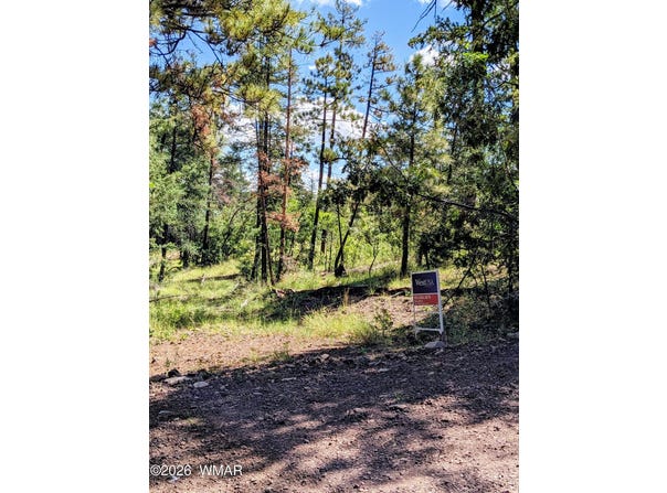 6 County Road 2073, Alpine, AZ 85920