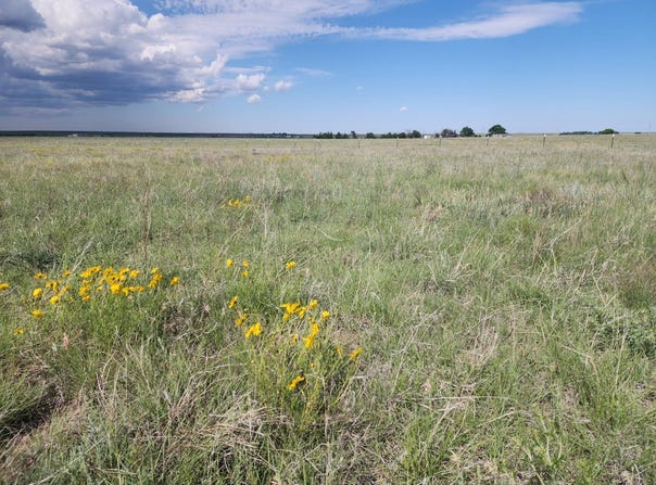 County Road 12, Rush, CO 80833