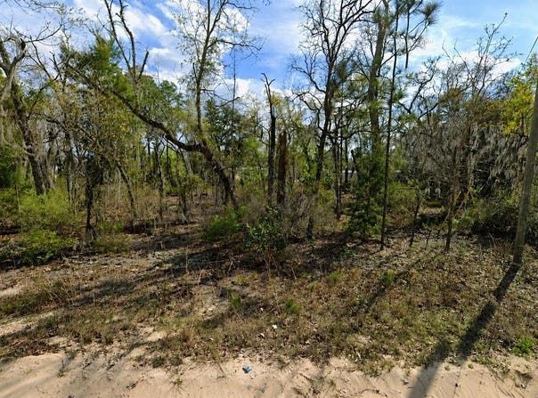 CLAUDIA Street, INTERLACHEN, FL 32148