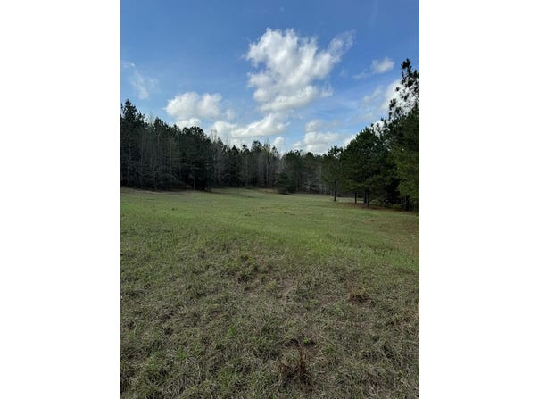 County Road 33, Louisville, AL 36048
