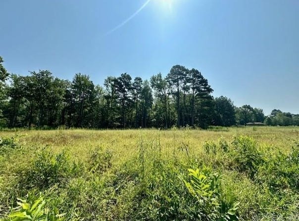 Hwy 104 Tract C, Pine Bluff, AR 71602