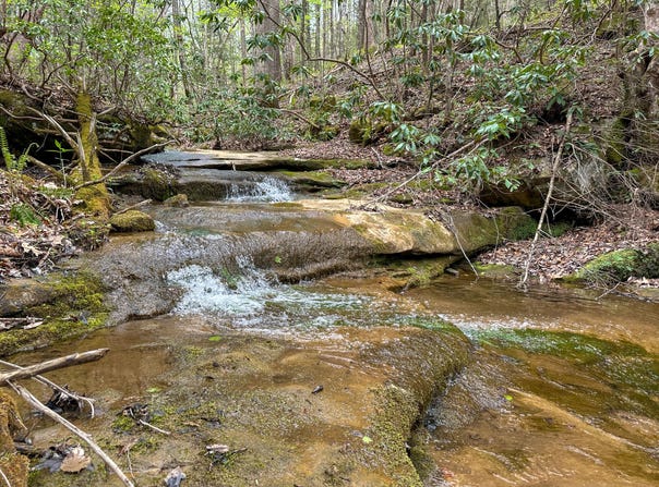 Dryfork Road, Helton, KY 40840