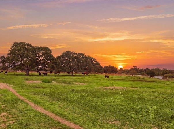 43 Rice Road, Yoakum, TX 77995