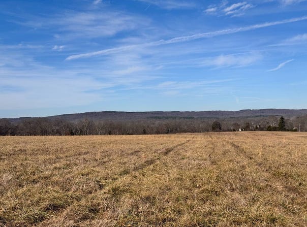 Coonhunters Rd, Golconda, IL 62938