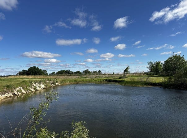De Witt, IL 61735